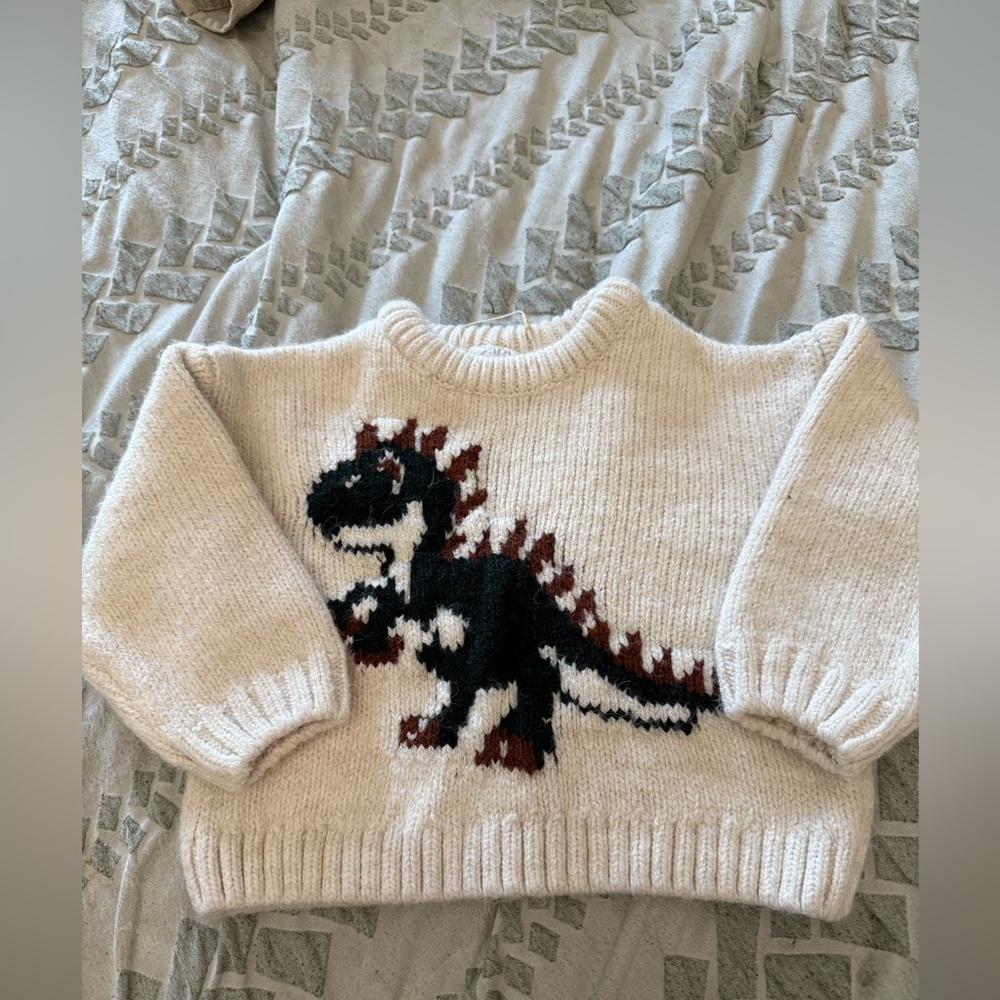 Zara infant dinosaur sweater